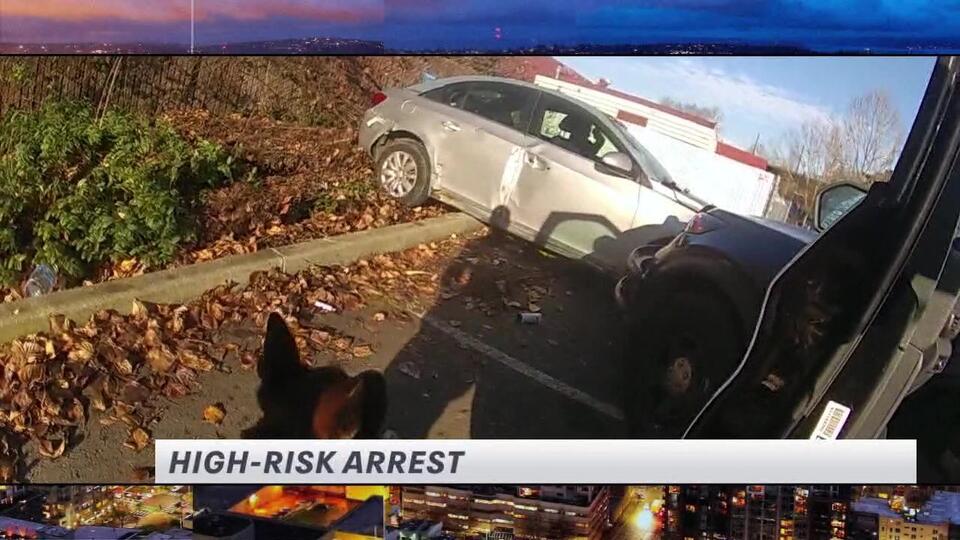 The Spotlight High Risk Sex Offender Arrest NewsBreak