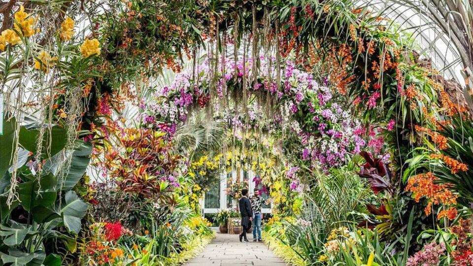 The Annual Orchid Show Returns To The New York Botanical Garden In