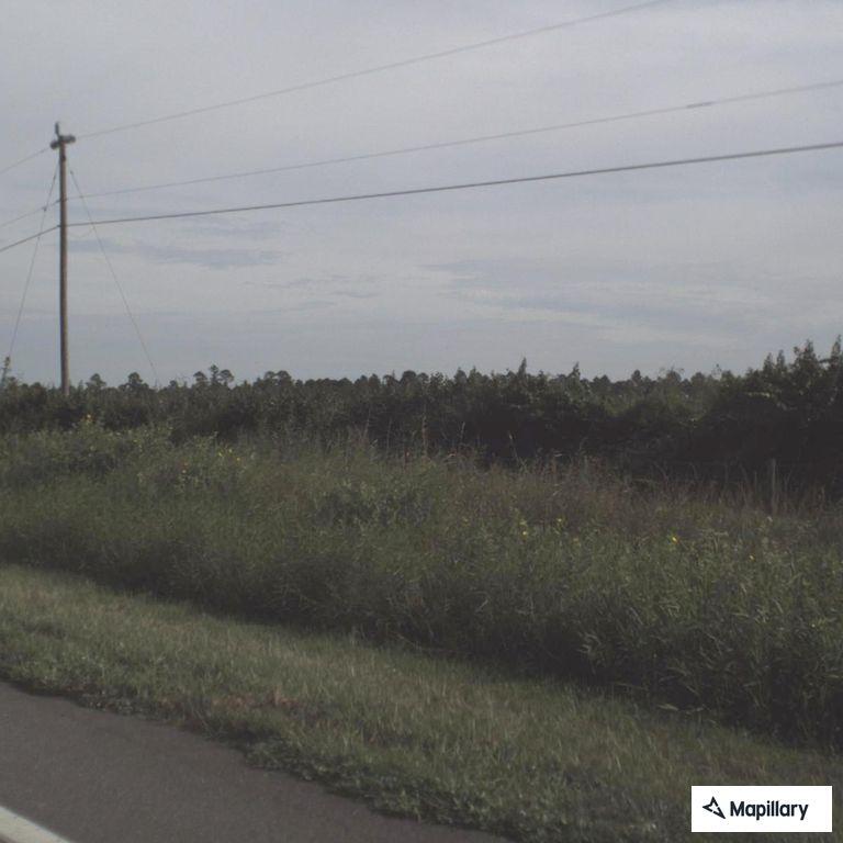 Traffic stop on State Road 31 in Punta Gorda