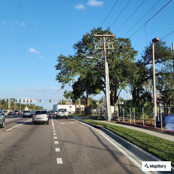 Tree limbs on power line near East Bloomingdale Avenue