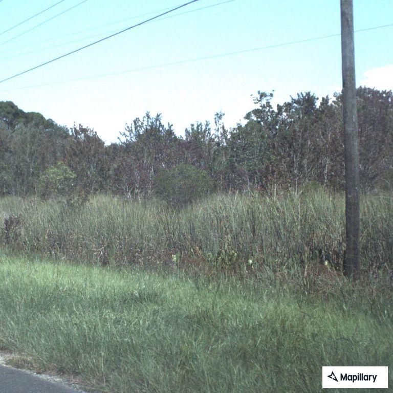 Vehicle hits alligator causing fuel leak