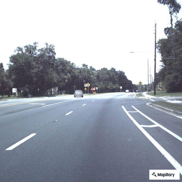 Vehicle swerving on Williston Road near I-75