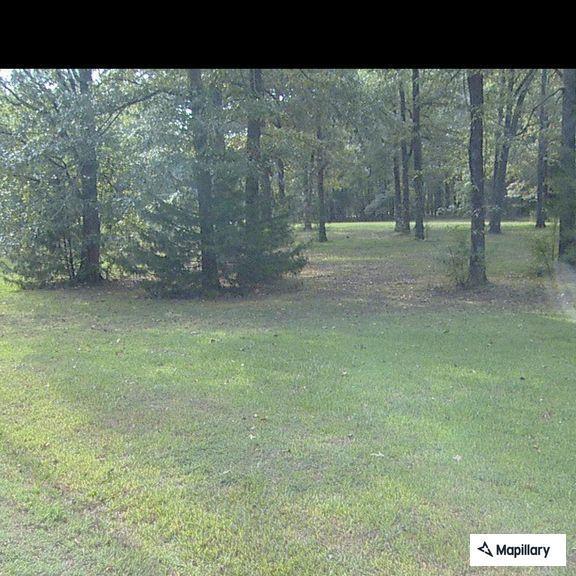 Traffic stop on Highland Drive in Natchitoches
