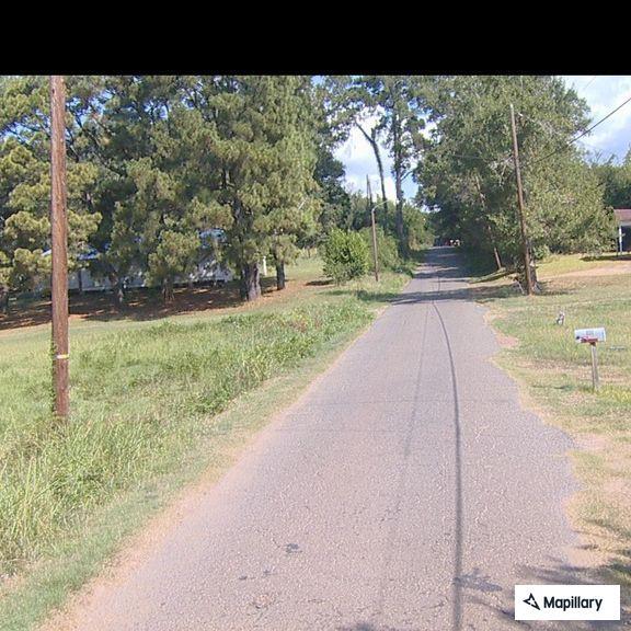 Tree blocking road and tangled in power lines