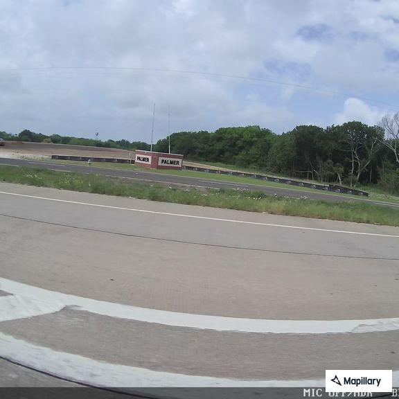 Loose cattle on I-45 service road near Palmer