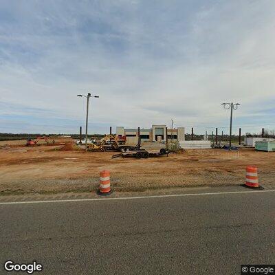 Dog running in roadway near South Memorial Drive