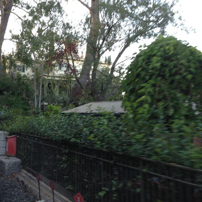 Unconscious person at Disneyland Gate 1 in Anaheim