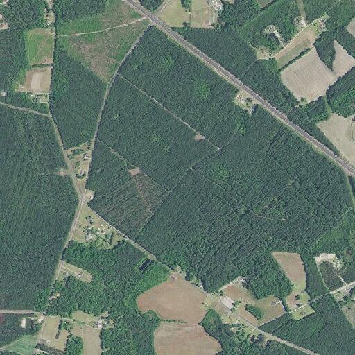 Person experiencing chest pain near Cox Road in Pamplico