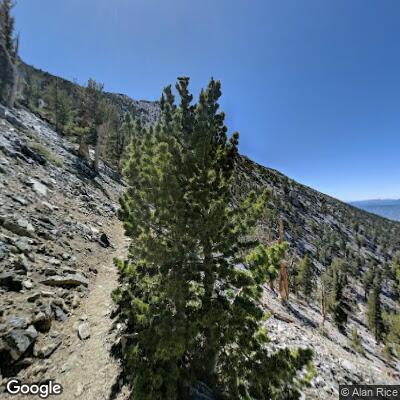 Small vegetation fire in Big Bear forest