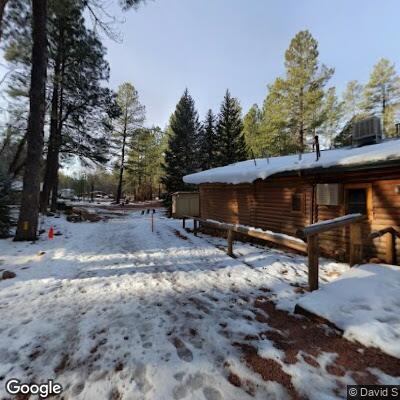 Person injured in fall from tree at Payson camp
