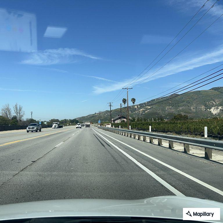 Loose dogs blocking lanes on Highway 126