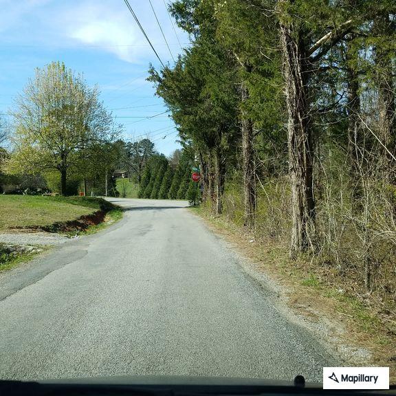 Possible fallen tree on Mitchell Mill Road