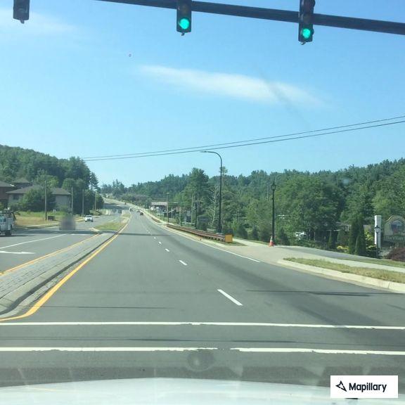 Person bitten by suspected venomous snake on Highway 321