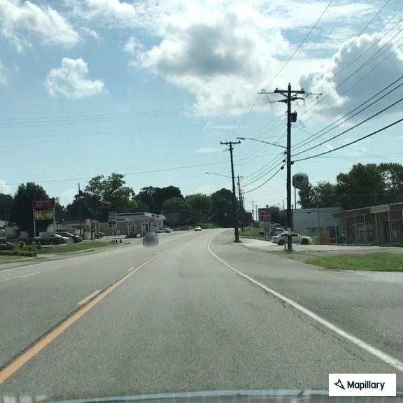 Car hit deer on McMurry Boulevard in Hartsville