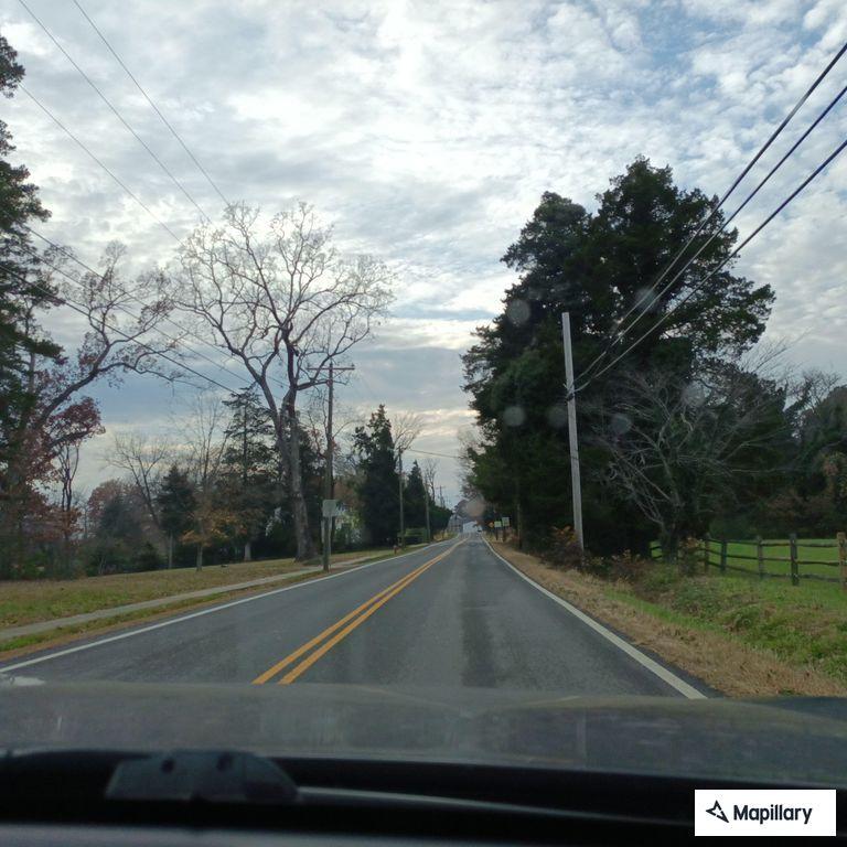 Tree blocks David Bruce Avenue, phone lines hanging