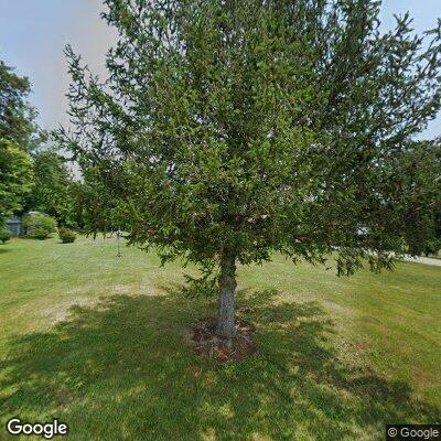 Man injured by tree fall with broken leg and severe bleeding
