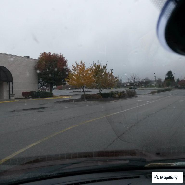 Dog locked in vehicle at Ultra Beauty store