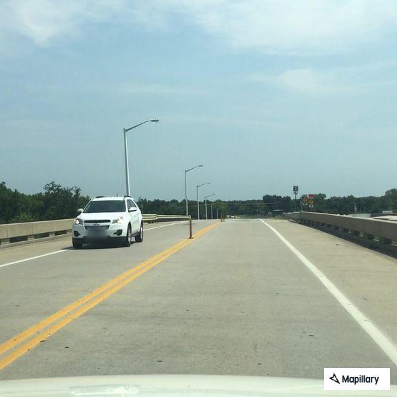 Loose white dog near roadway by Columbus
