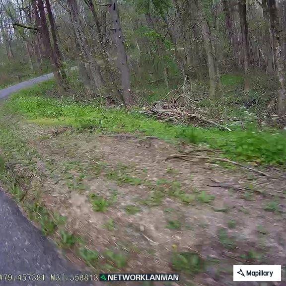 Possible trespasser reported near railroad tracks