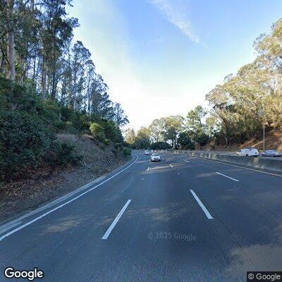 Deer on highway shoulder near Sausalito