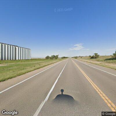 Loose cattle on U.S. 50 near Pierceville roadway