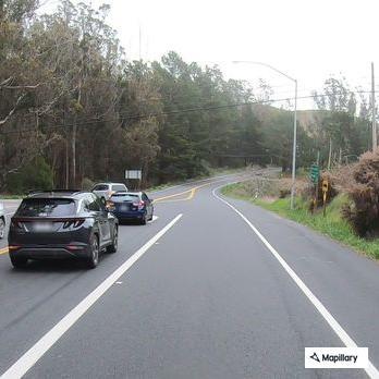 Deer grazing on highway shoulder creates hazard