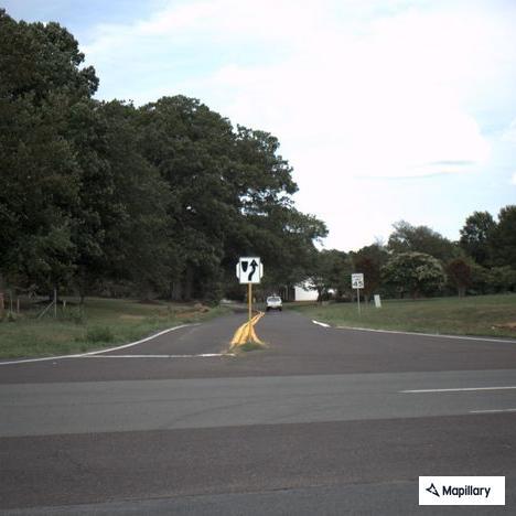 Injured deer blocking road near Germanna Highway