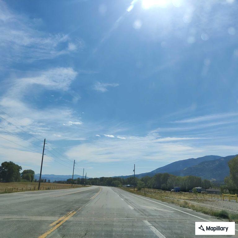 Loose calf near Highway 50 creating road hazard