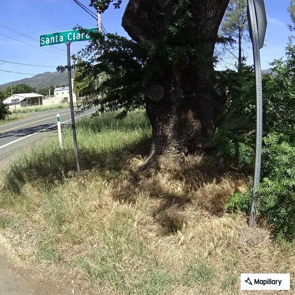 Elderly female with altered state standing on highway