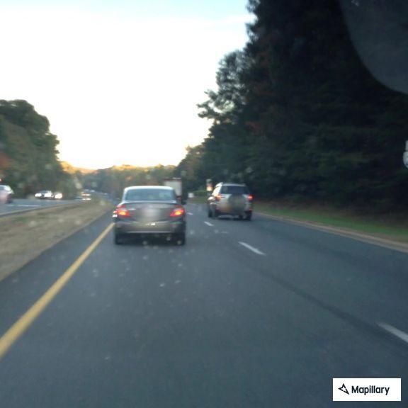 Dead animals blocking southbound lanes on VA-286