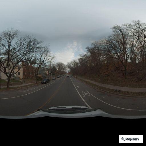 Tree blocking road near Malcolm X Avenue and I-295