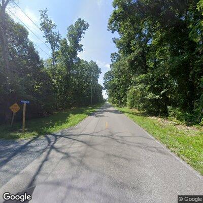 Power line sparks tree fire on Cox Neck Road