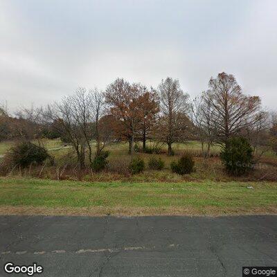 Loose dogs eating carcass near roadway