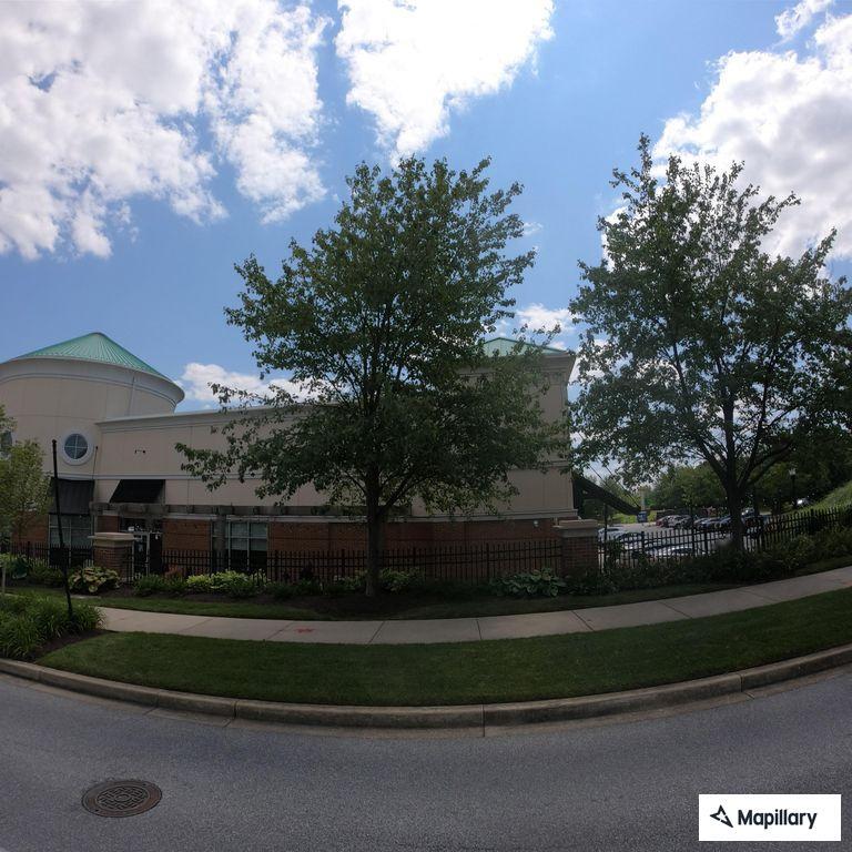 Woman choking on pill at Maple Lawn Boulevard grill