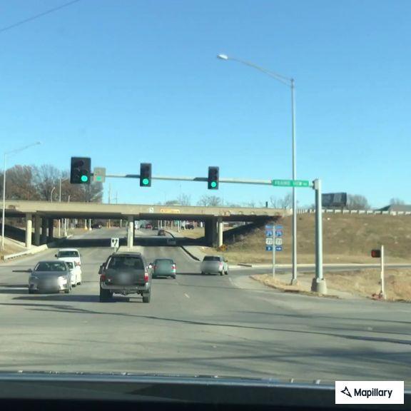 Dead deer on shoulder along Prairie View Road