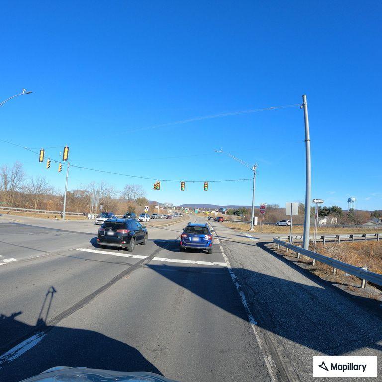 Complaint about injured deer on Route 9