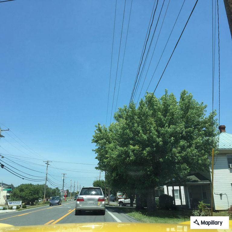 Verbal disturbance on Winchester Avenue