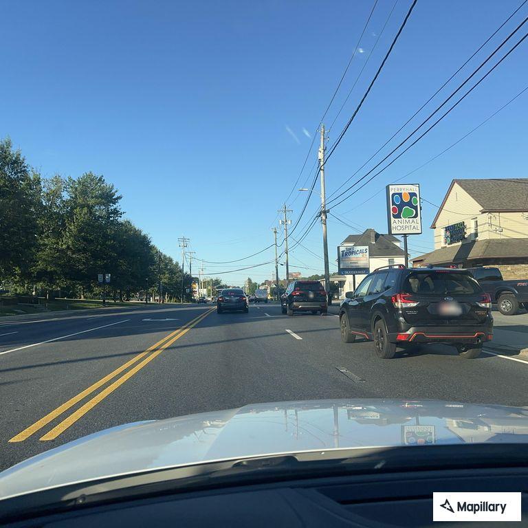 Deer struck in road blocking traffic on Belair Road