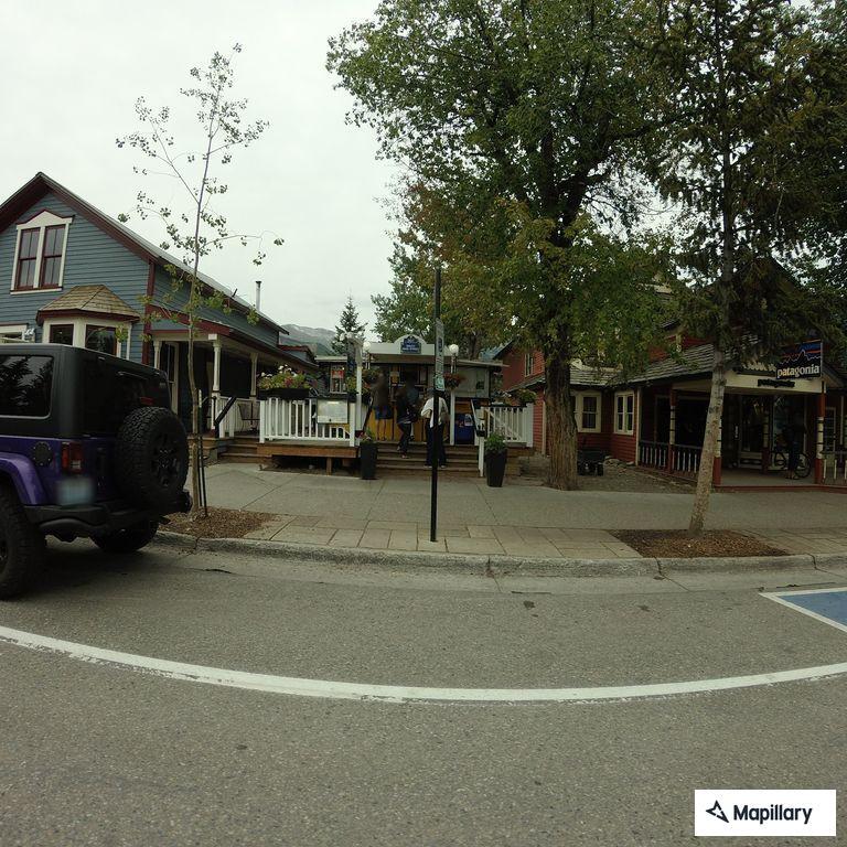Raccoon attacks woman and dog on South Main Street
