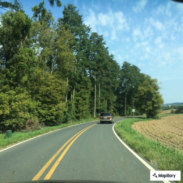 Large fallen tree blocking side road