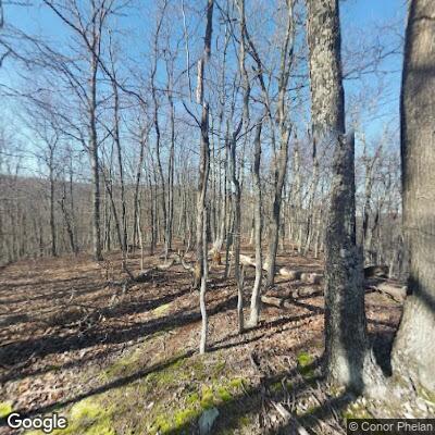 Assault on man at Green Ridge State Forest