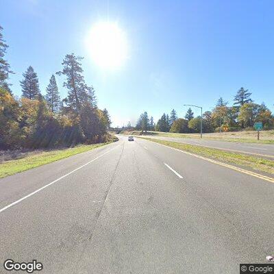 Animal on northbound Highway 101 near Garberville