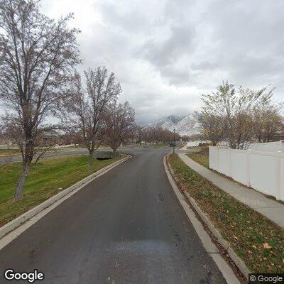 Wildlife report of turtle in field near Willow Springs