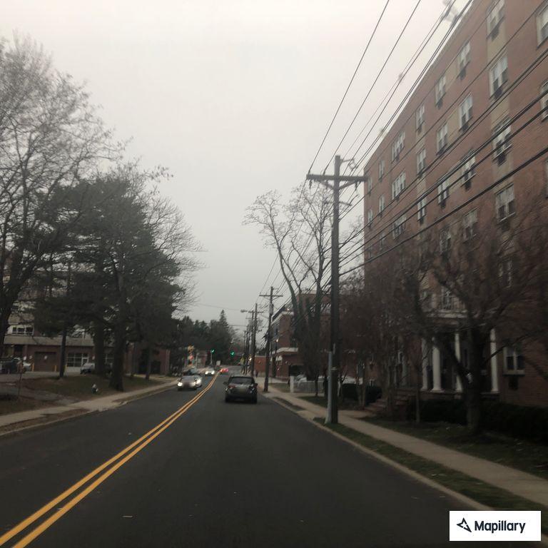 Fallen tree blocks field entrance on Valley Street