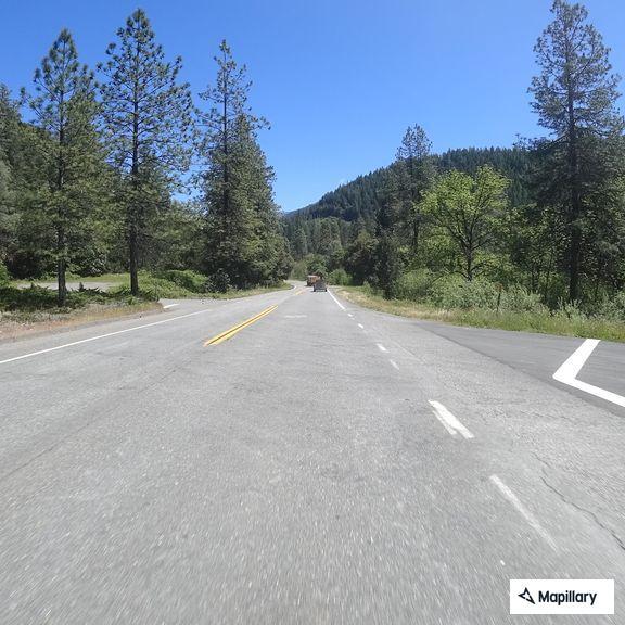 Tree partially blocking Highway 299 near Big Bar