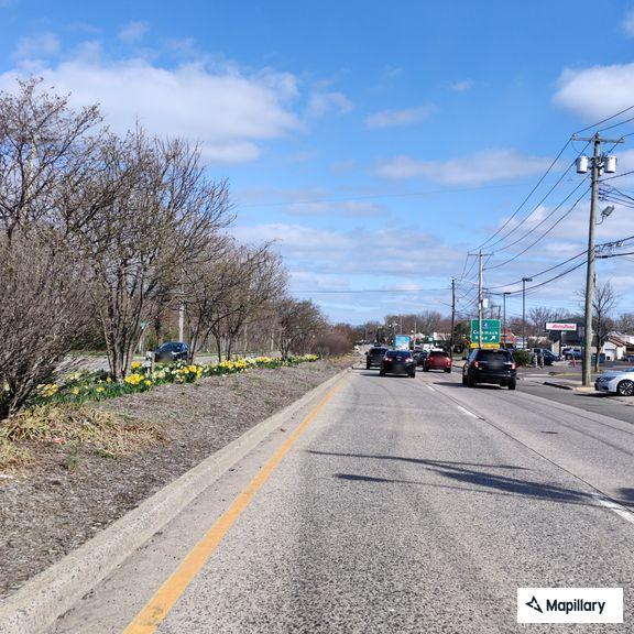 Group of e-bikes blocking Deer Park Avenue