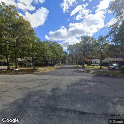 Loose husky dog in roadway at Central Islip