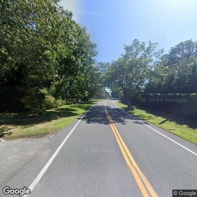 Dog running in roadway on South Country Road