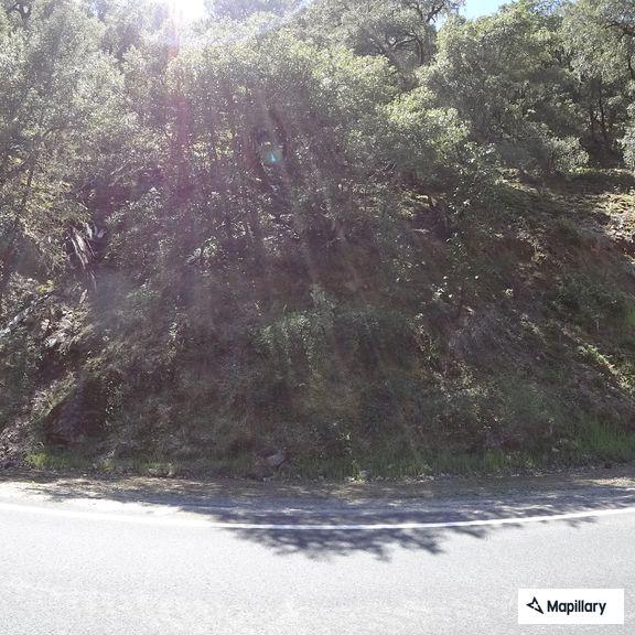 Reckless driver weaving on Highway 299