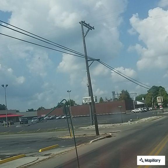 Storm damage with tree branches blocking road